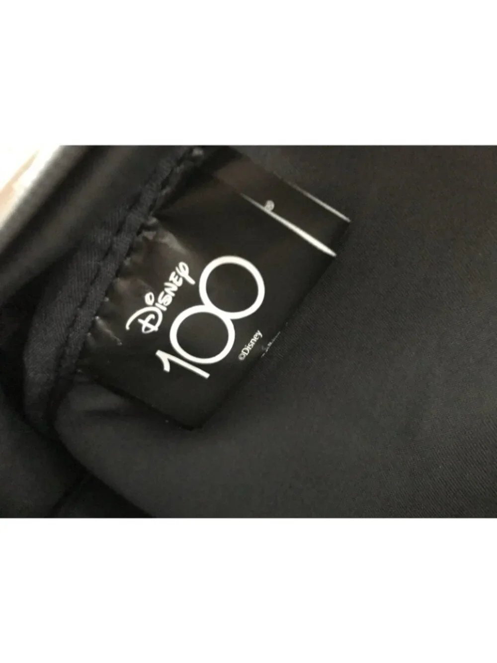 Disney 100 Years of Wonder Mini Backpack Bioworld Black Iridescent Castle Bag